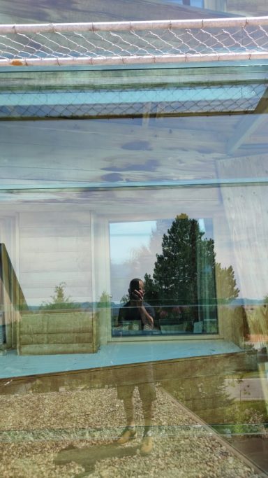 Reflexion einer Person vor einem Gebäude mit Fenster und Bäumen im Hintergrund.